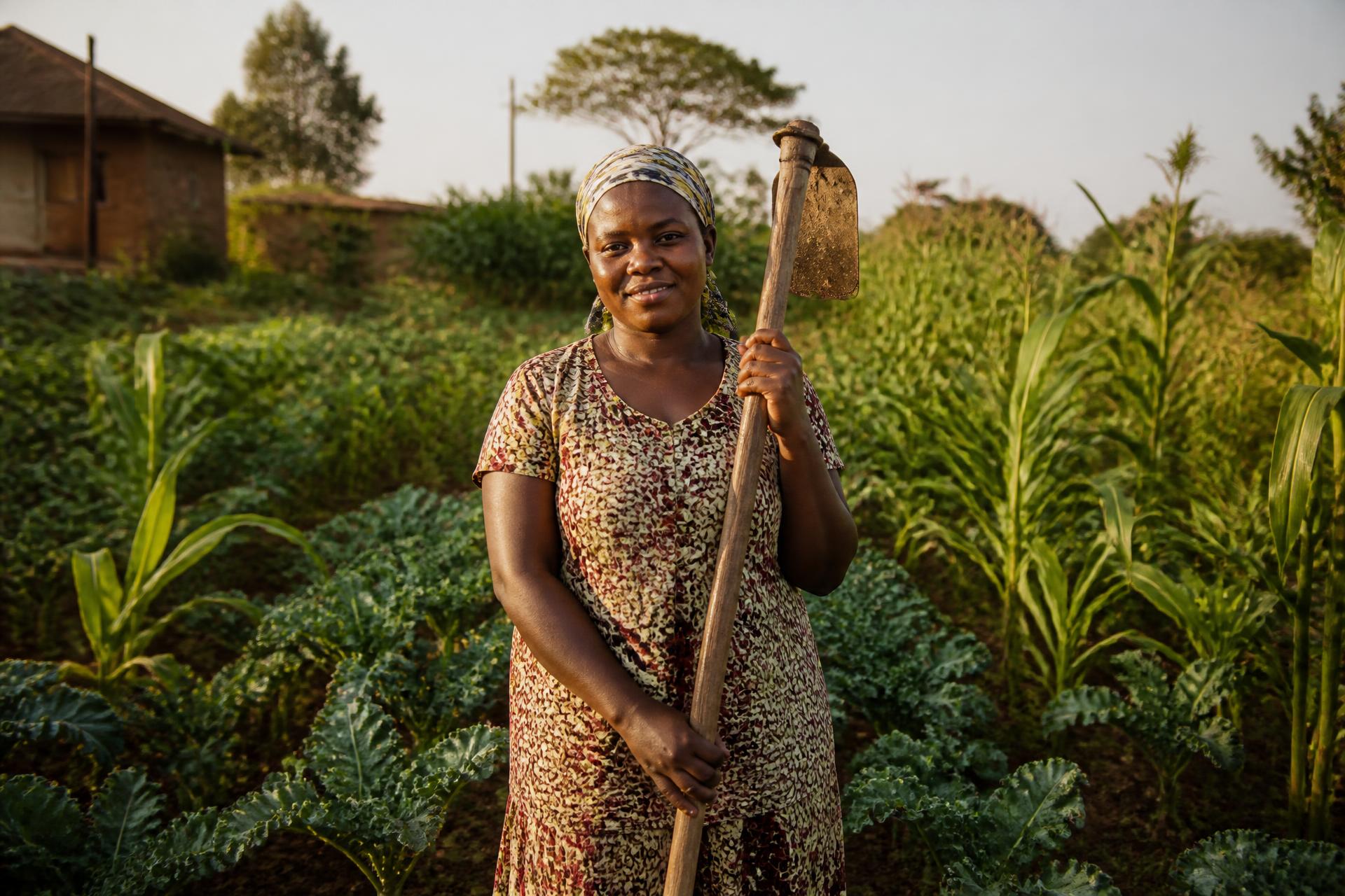 A Kenyan woman farmer standing confidently with her hoe among kale and maize at golden hour