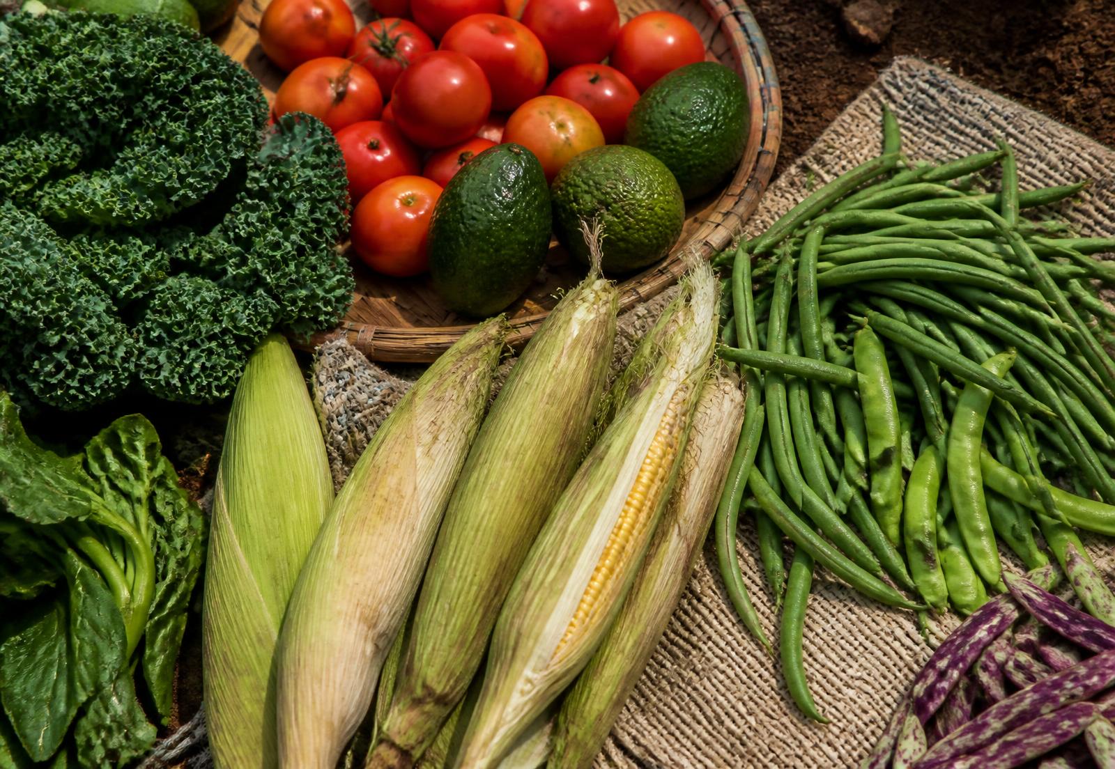 Freshly harvested Kenyan vegetables including kale, tomatoes, maize and beans